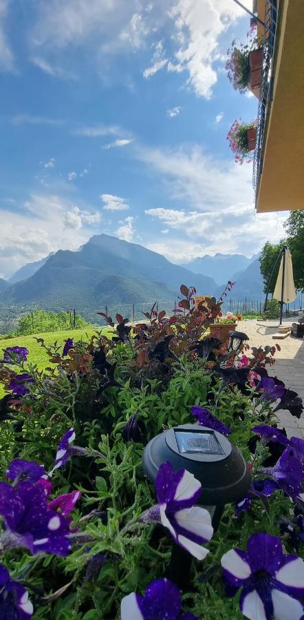 Lo Noyer Et Les Roses Bed and Breakfast Saint Nicolas Εξωτερικό φωτογραφία